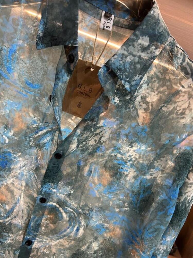 Blue Pattern Sheer Mesh Shirt